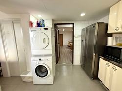 Lucky Plaza (D9), Apartment #572770281